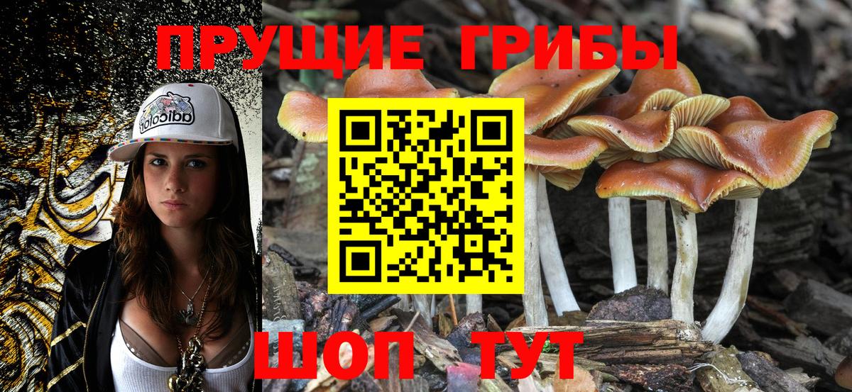 Галлюциногенные грибы прущие грибы  Псилоцибиновые грибы GOLDEN TEACHER  Вход с VPN  Усть-Кут 